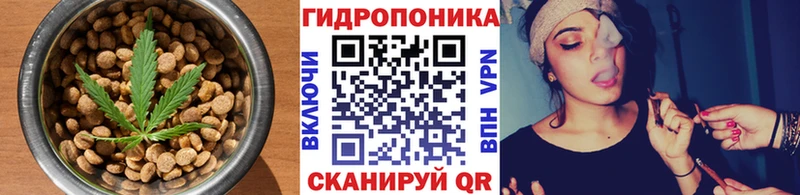 Cannafood марихуана  цены   Алексин 