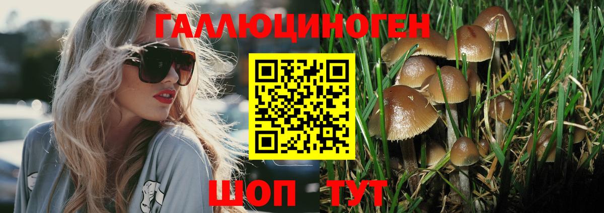 Галлюциногенные грибы прущие грибы Алексин